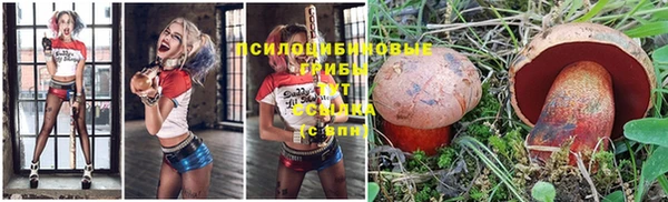 амф Белоозёрский